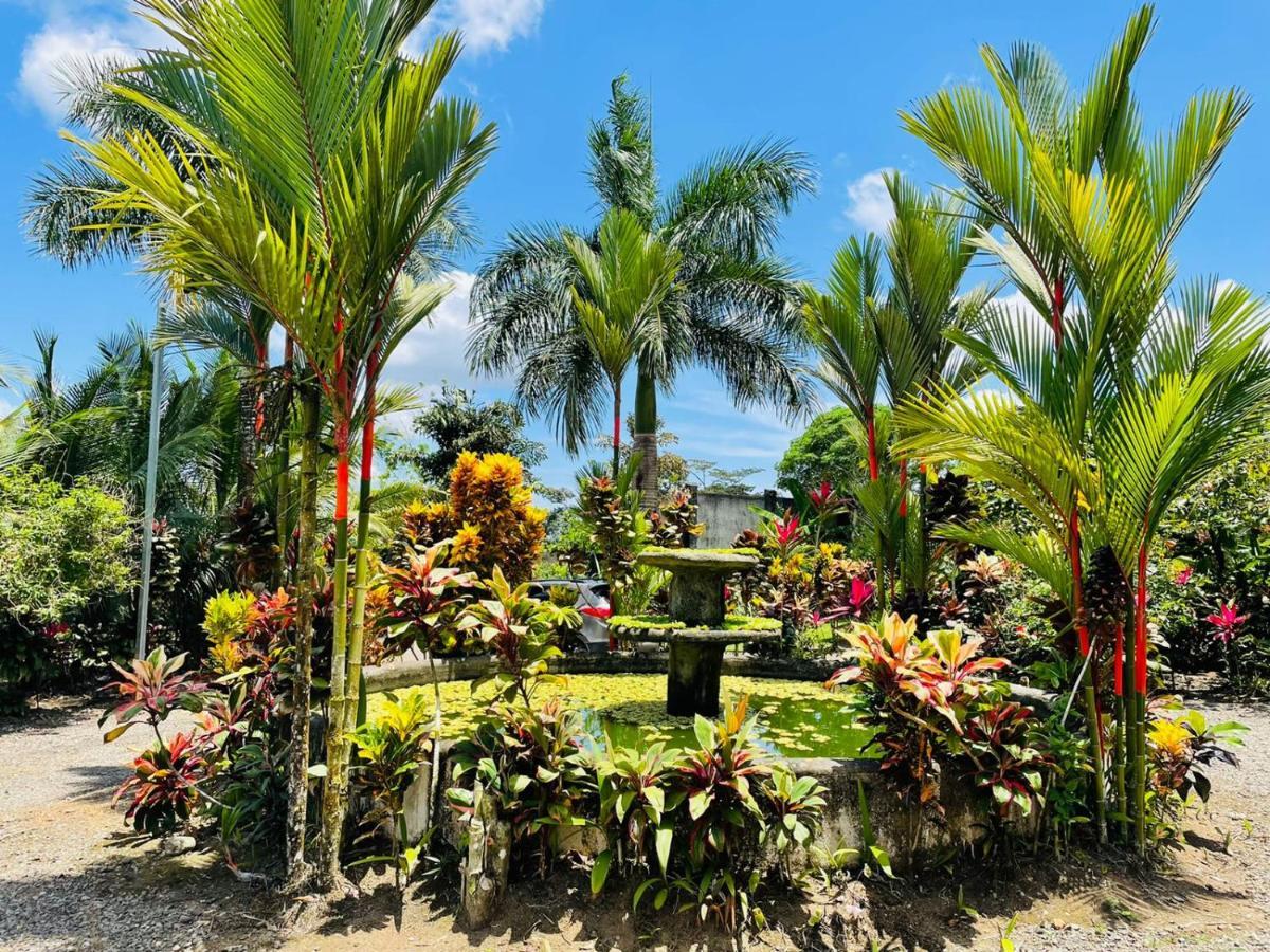 Aunty Arenal Lodge La Fortuna Eksteriør billede
