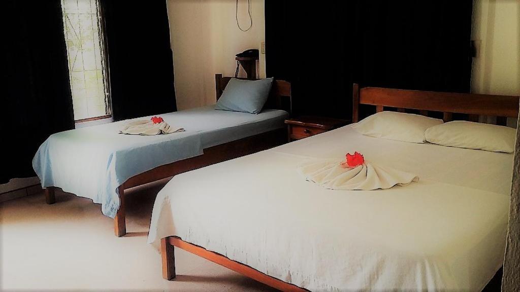 Aunty Arenal Lodge La Fortuna Eksteriør billede